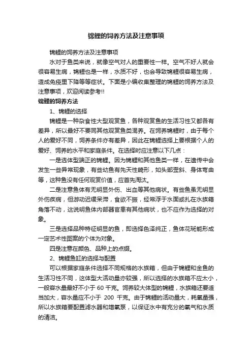 锦鲤的饲养方法及注意事项