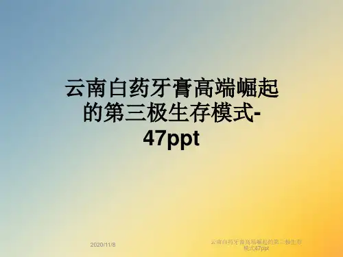 云南白药牙膏高端崛起的第三极生存模式47ppt