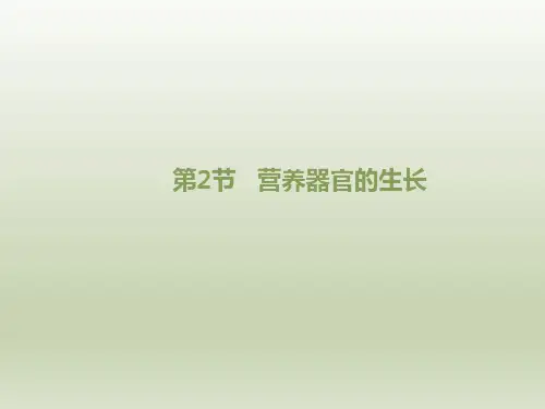 北师大版七年级生物上册.2《营养器官的生长》课件