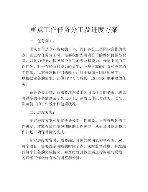 重点工作任务分工及进度方案