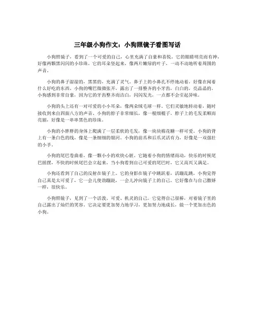 三年级小狗作文：小狗照镜子看图写话