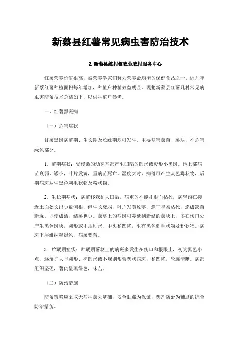 新蔡县红薯常见病虫害防治技术