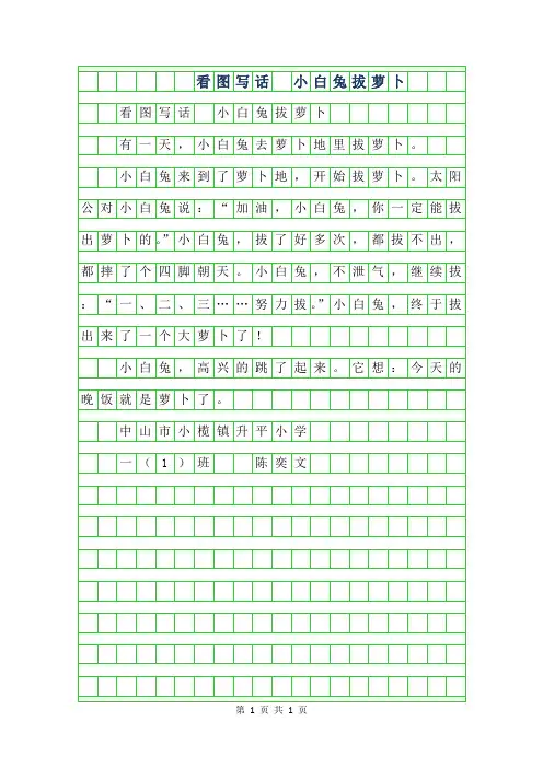 2019年一年级优秀作文-看图写话 小白兔拔萝卜