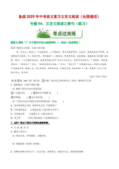 专题04：文言文阅读之断句(练习)-2025年中考语文复习文言文阅读(全国通用)(教师版)