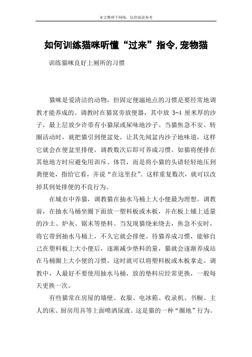 如何训练猫咪听懂“过来”指令,宠物猫