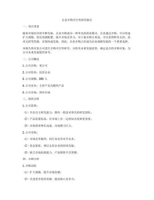 企业并购可行性研究报告