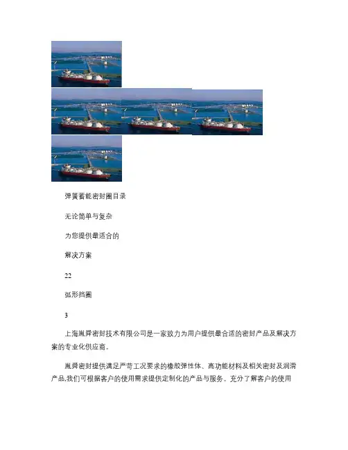 弹簧蓄能密封圈样本-141031_图文.