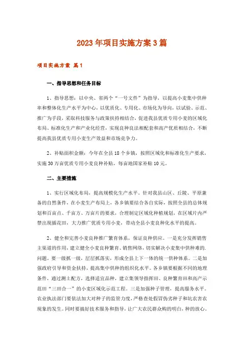 2023年项目实施方案3篇_3
