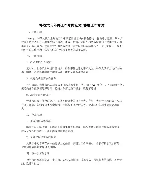 特战大队年终工作总结范文_特警工作总结