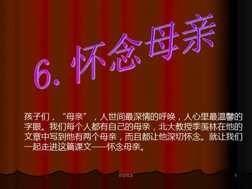 怀念母亲 ppt课件