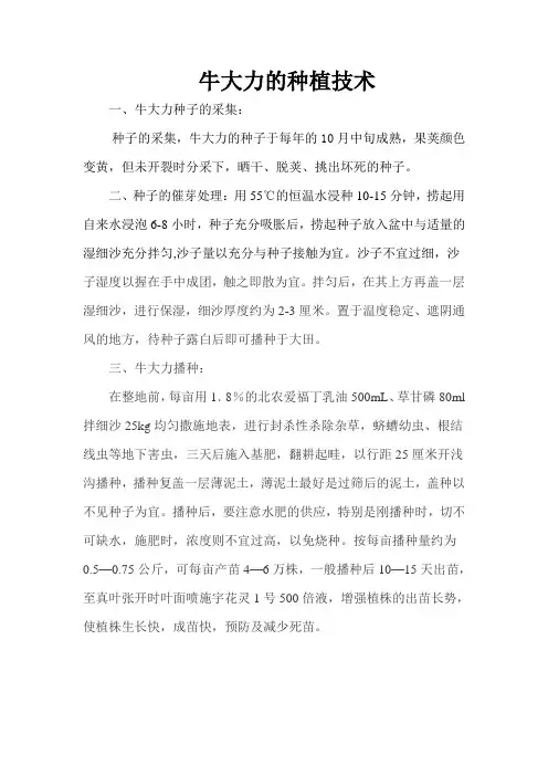 牛大力种植