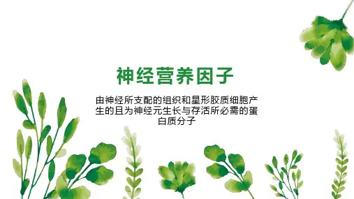 神经营养因子