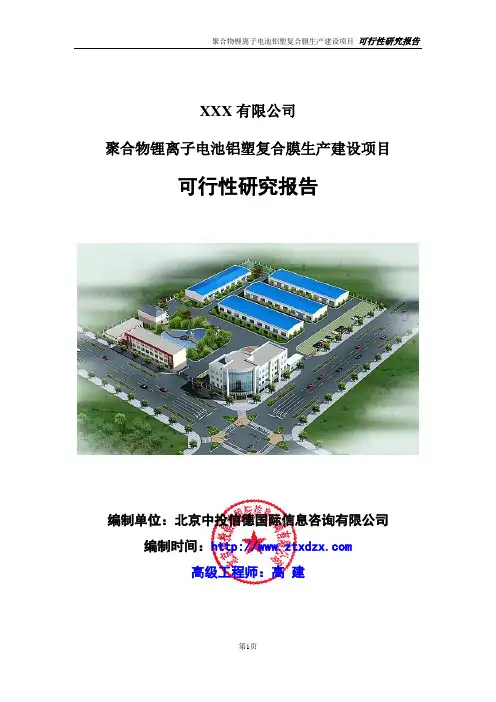 聚合物锂离子电池铝塑复合膜生产建设项目可行性研究报告