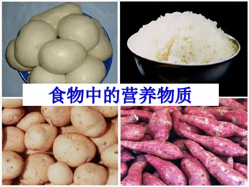  食物中的营养物质ppt课件(共56张PPT)
