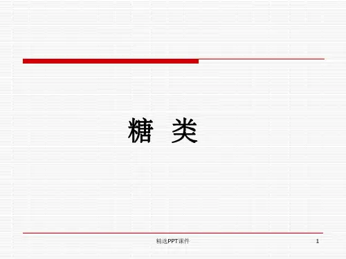 糖类PPTPPT课件
