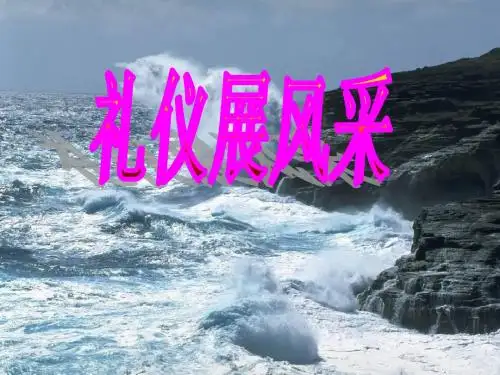 人教版八年级政治上册教学课件-礼仪展风采 (共17张PPT)