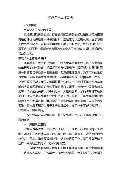 市政个人工作总结