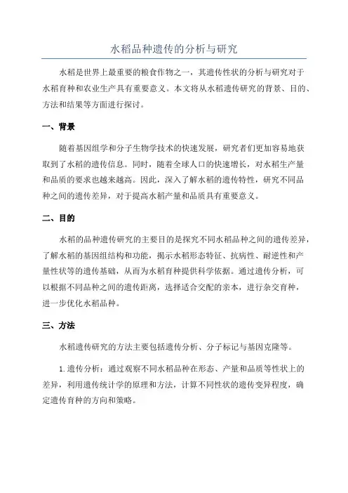 水稻品种遗传的分析与研究
