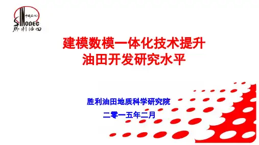 建模数模一体化技术提升油田开发研究水平-地质院