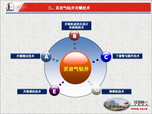 页岩气钻井技术(中)PPT课件