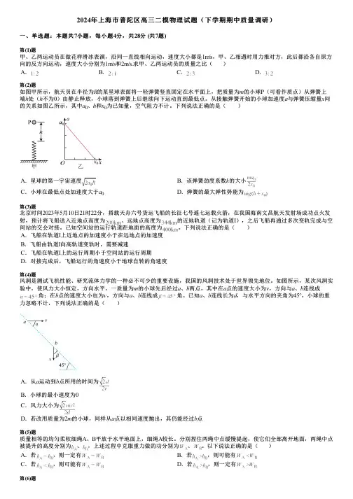2024年上海市普陀区高三二模物理试题(下学期期中质量调研)