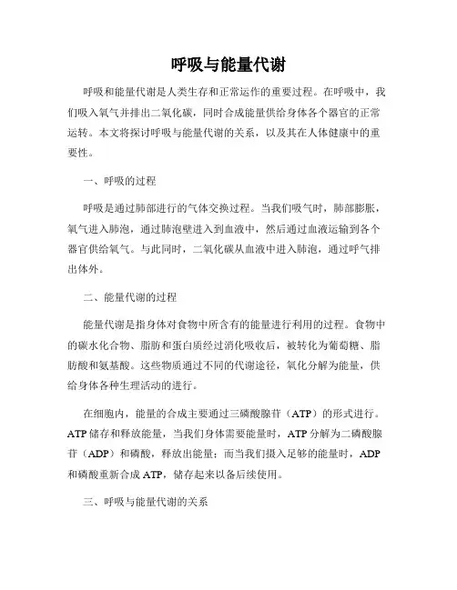 呼吸与能量代谢