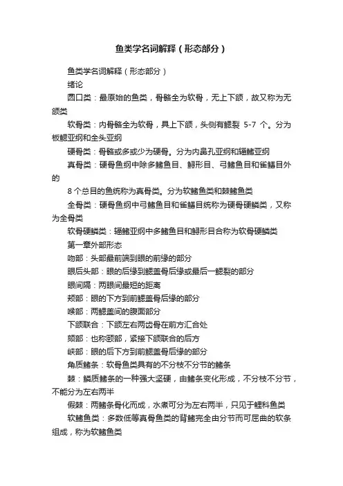 鱼类学名词解释（形态部分）