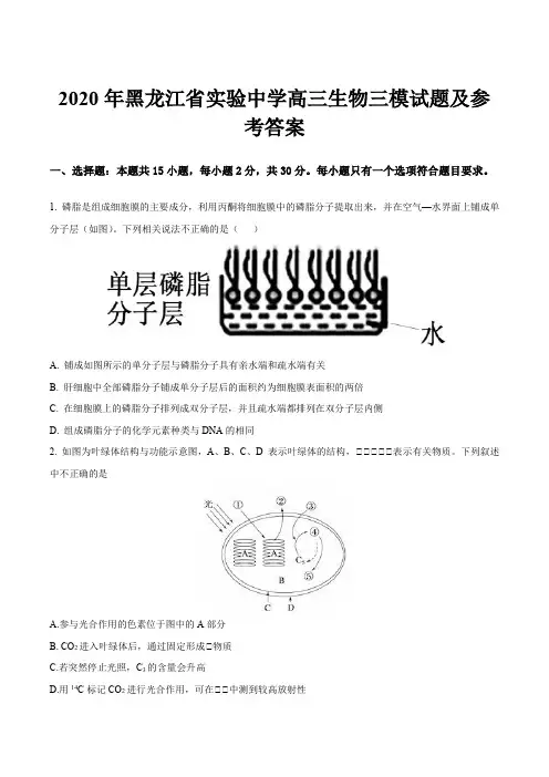 2020年黑龙江省实验中学高三生物三模试题及参考答案
