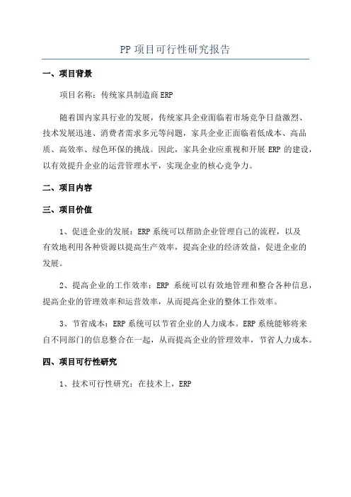 PP项目可行性研究报告