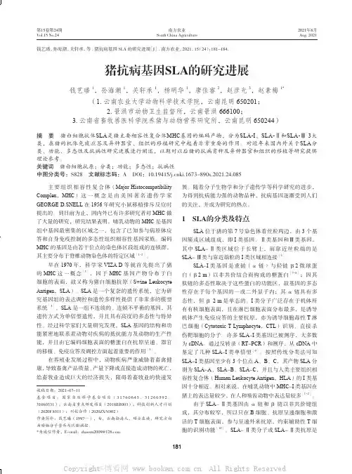 猪抗病基因SLA的研究进展