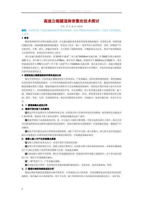 高速公路隧道病害整治技术探讨