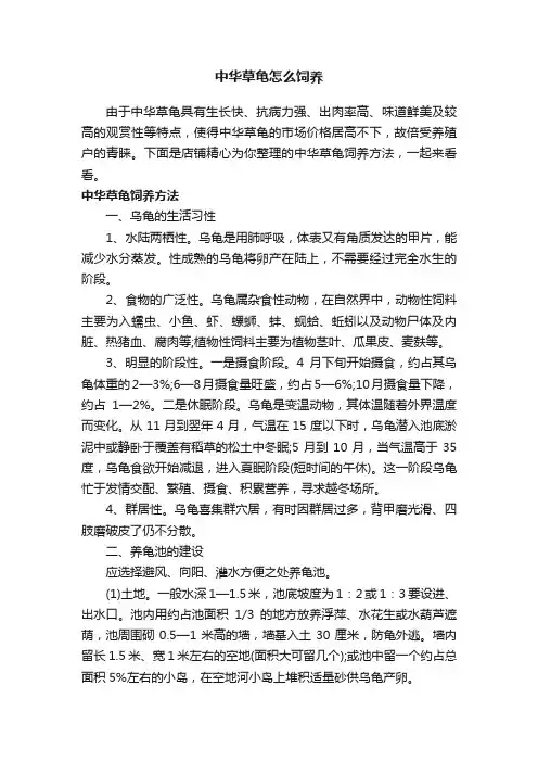 中华草龟怎么饲养