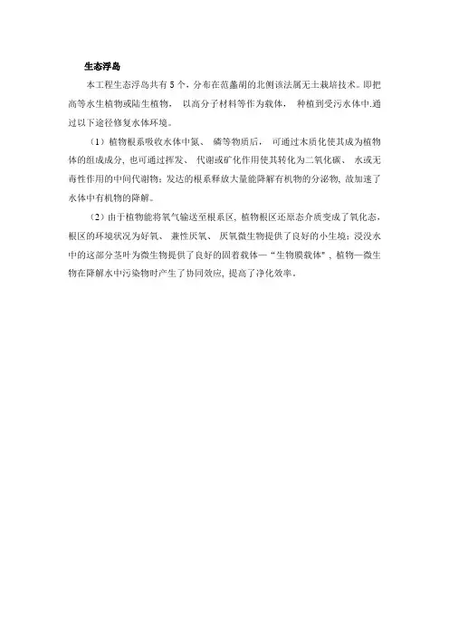 生态浮岛施工方案