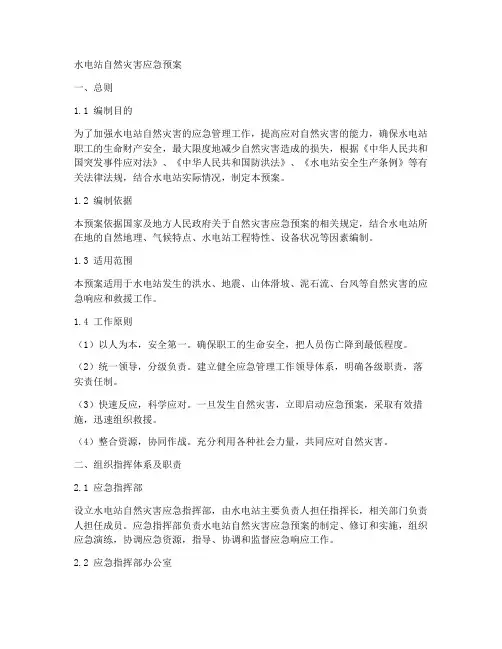 水电站自然灾害应急预案