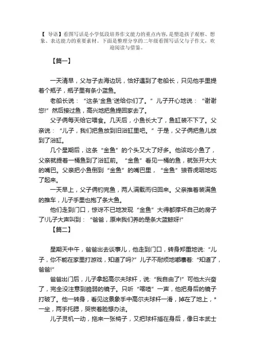 二年级看图写话父与子作文【三篇】