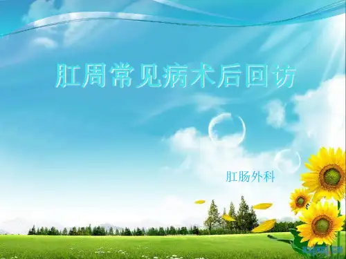 直肠肛管 ppt课件