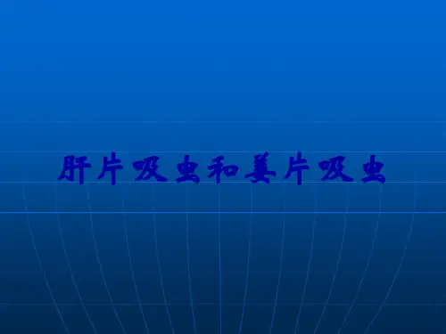 肝片吸虫和姜片吸虫