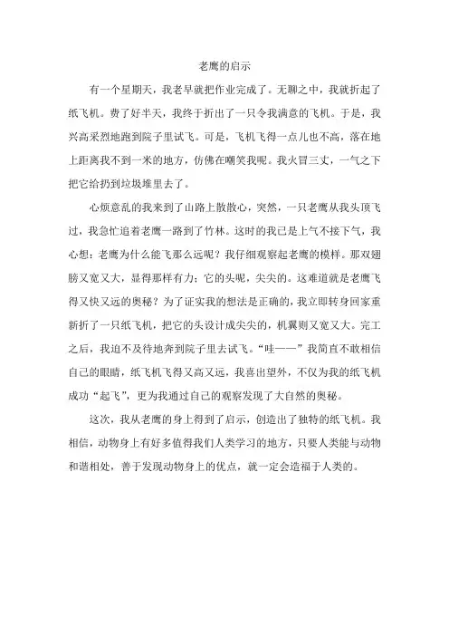 老鹰的启示