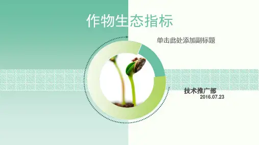 禾本科作物生态指标测定