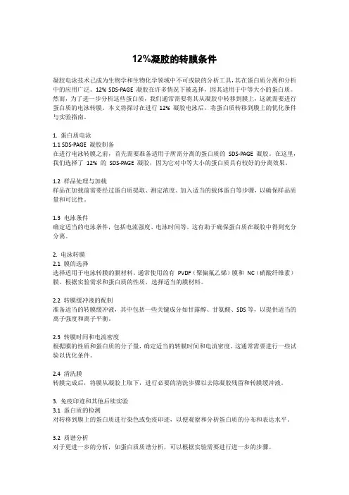 12%凝胶的转膜条件