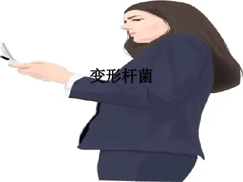 变形杆菌ppt课件