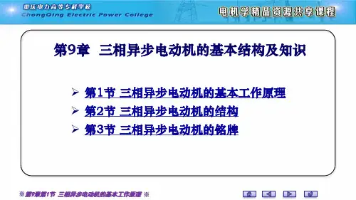 三相异步电动机的基本工作原理(精)