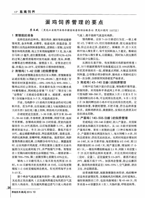 蛋鸡饲养管理的要点