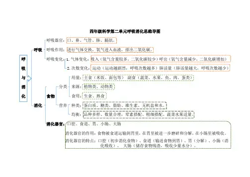 四年级科学第二单元呼吸消化思维导图