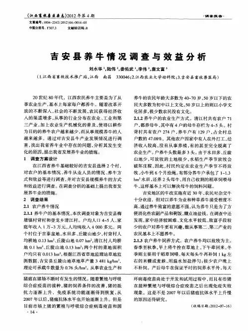 吉安县养牛情况调查与效益分析