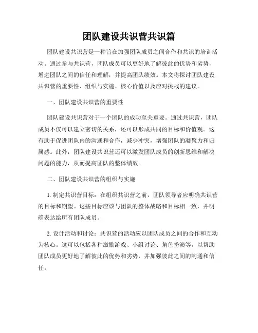 团队建设共识营共识篇