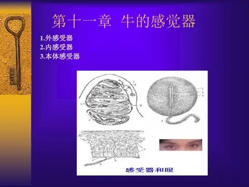 第十一章感觉器官和被皮