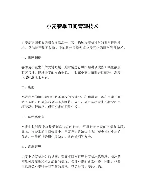 小麦春季田间管理技术