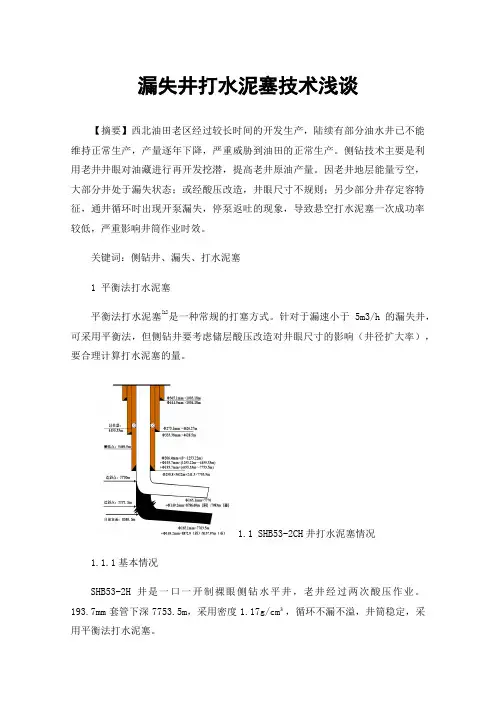 漏失井打水泥塞技术浅谈