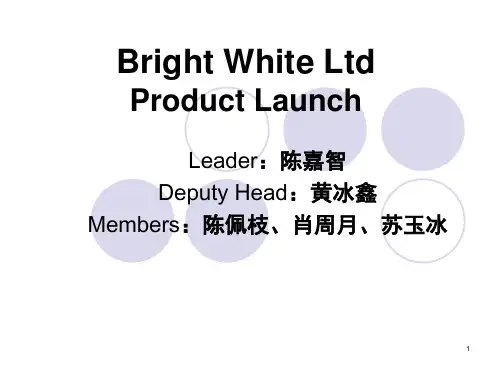 产品发布会英文版课件